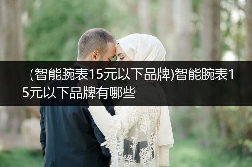 （智能腕表15元以下品牌)智能腕表15元以下品牌有哪些