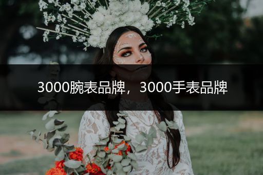 3000腕表品牌，3000手表品牌