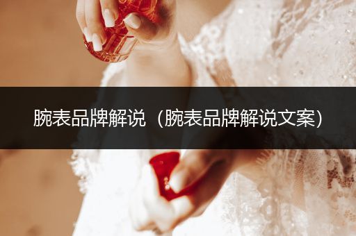 腕表品牌解说（腕表品牌解说文案）