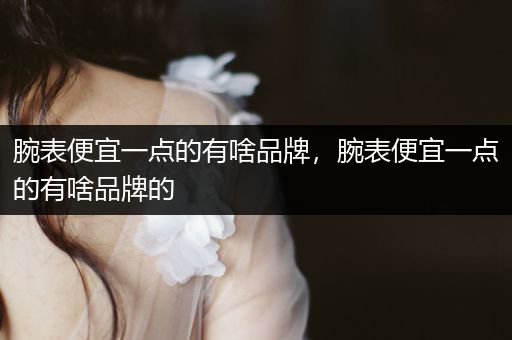 腕表便宜一点的有啥品牌，腕表便宜一点的有啥品牌的