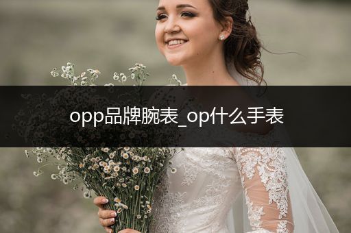 opp品牌腕表_op什么手表