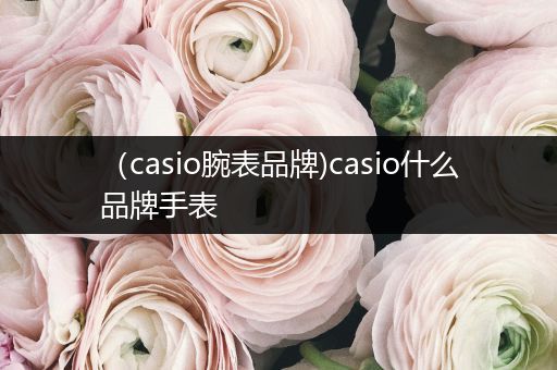 （casio腕表品牌)casio什么品牌手表